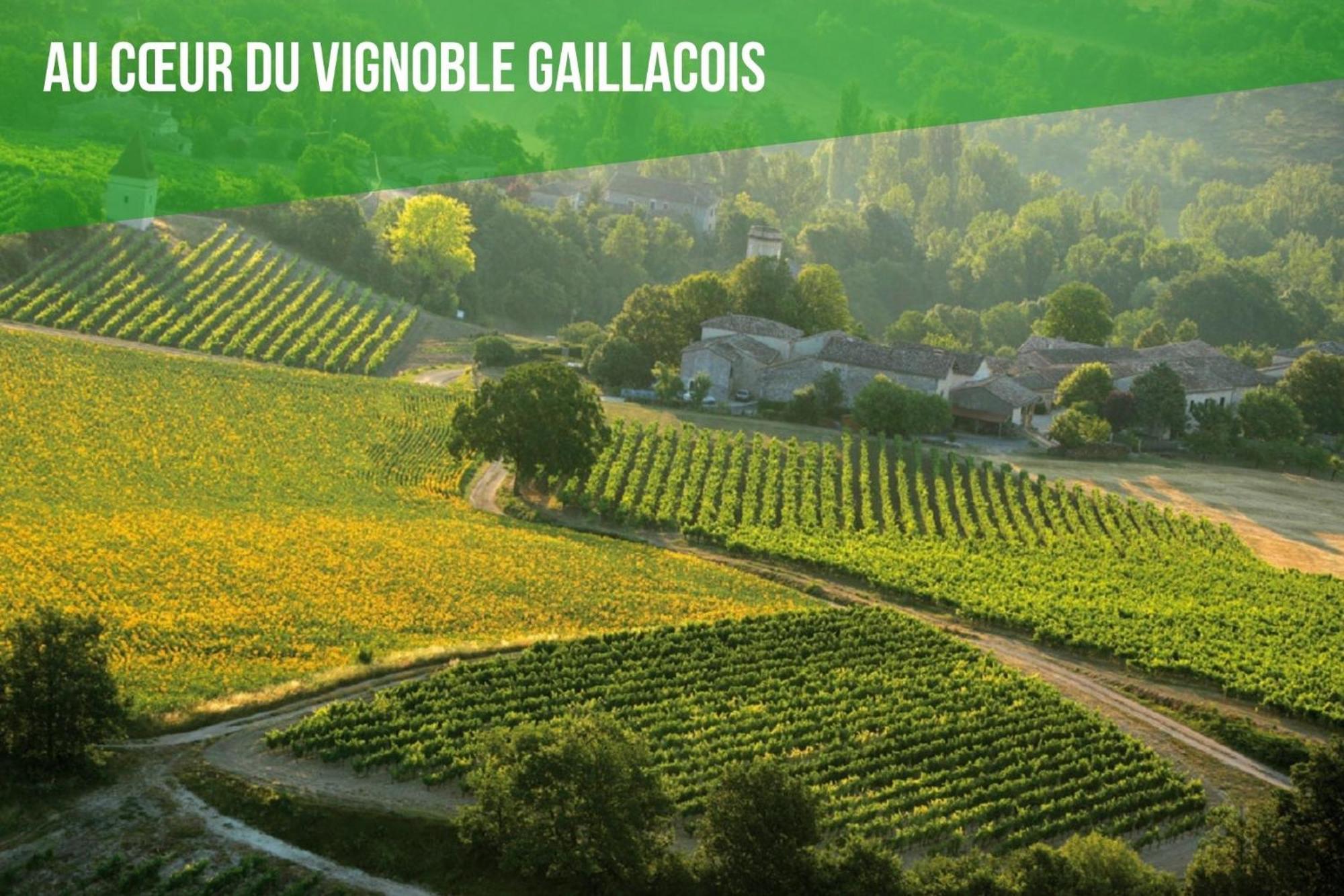 Brens  Le Cottage Nature Vigne Rouge Sauna Gaillac Entre Albi-Toulouse & Les Cottages Du Tarn מראה חיצוני תמונה