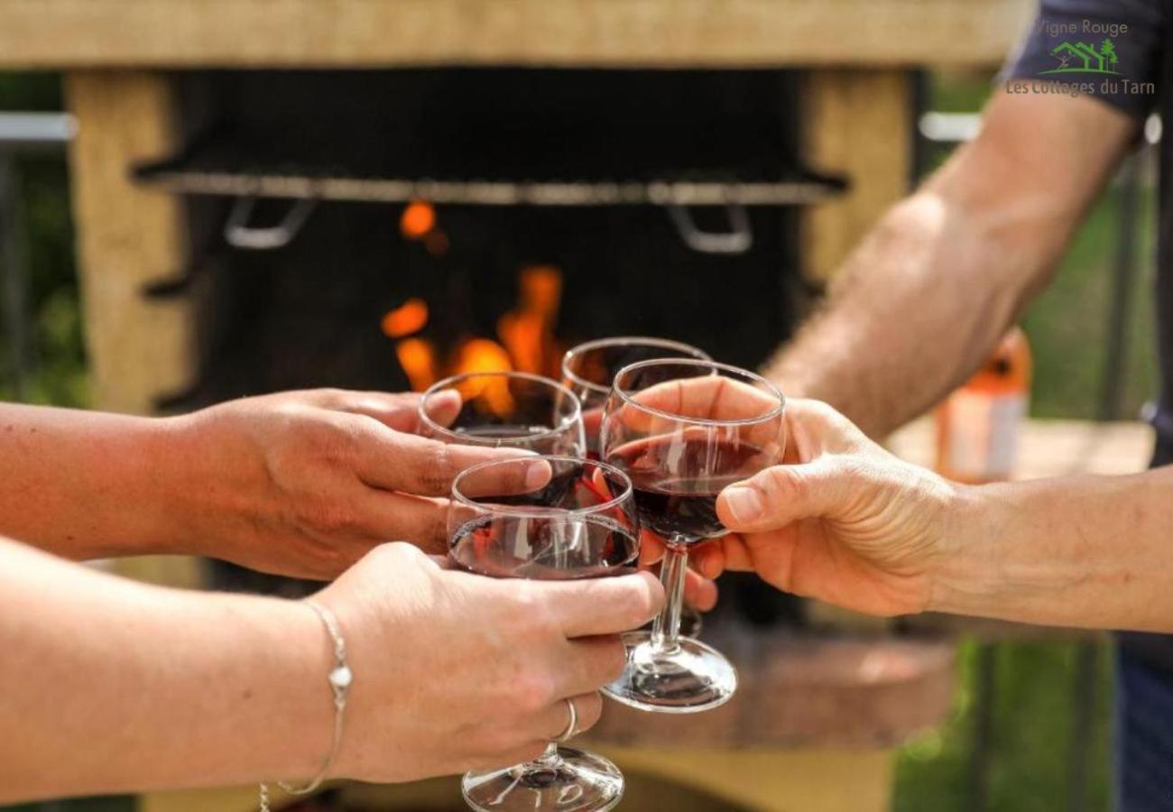 Brens  Le Cottage Nature Vigne Rouge Sauna Gaillac Entre Albi-Toulouse & Les Cottages Du Tarn מראה חיצוני תמונה